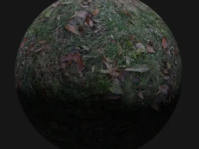 Leafy Ground Seamless Material Texture