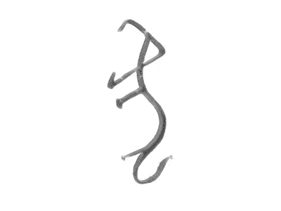 Chinese Zodiac Tiger Oracle Bone Inscriptions v1 002 Low-poly 3D model