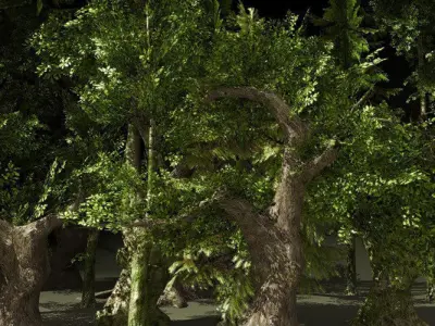 Fantasy Trees Low-poly 3D model