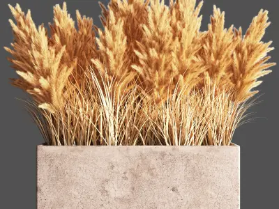 Indoor Plant Set 55  pampas 3D model
