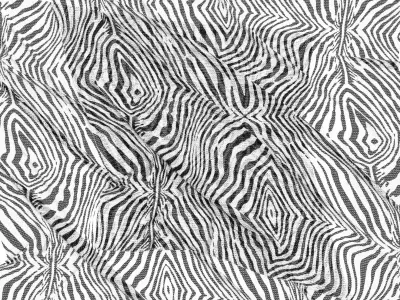 Black and White Zebra Printed Mesh Fabric PBR Texture ZFAB File 3D model