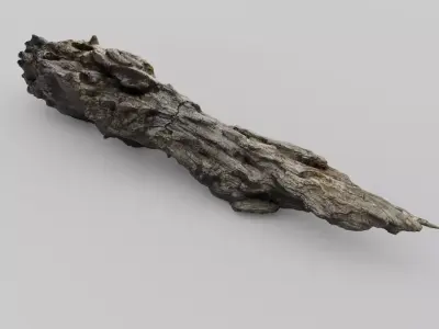 SCANNED BROKEN LOG Low-poly 3D model