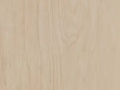 Birch plywood 01 Texture