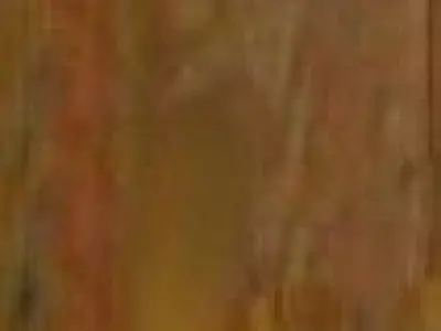 Portcullis wood iron 2 3D model