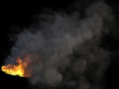 Blazing Fire VDB 3D model