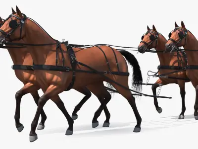  Four Bay Horses Harness with Stagecoach 