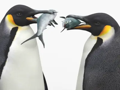  Adult Emperor Penguin Eating Fish Fur 