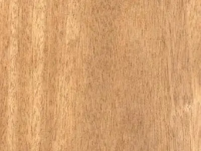  realty wood door  210 80 Free 3D model