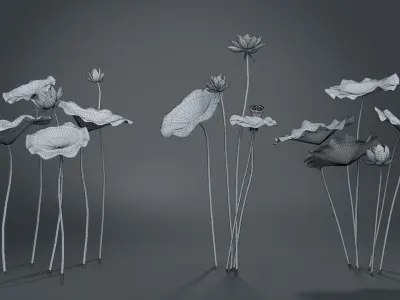  Lotus Collection vol07 