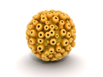 Olive-Green Tubastraea Coral Model Low-poly 3D model