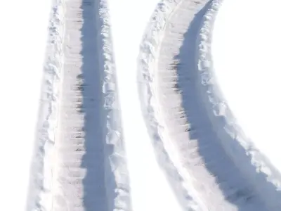 Ultra realistic Winter footpath 2 2021Hq Scan  Low-poly 3D model