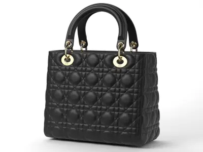  Lady Dior Bag 