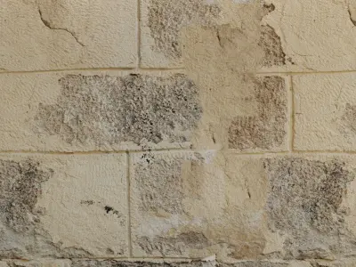 Brick wall Old brick 147 Texture