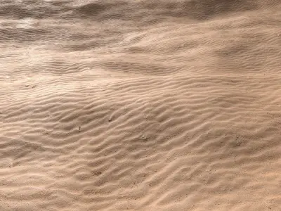 Sand Beach 06 PBR Low-poly 3D model