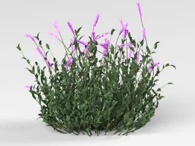 5 Type of Out door Bush Set vol 3D model