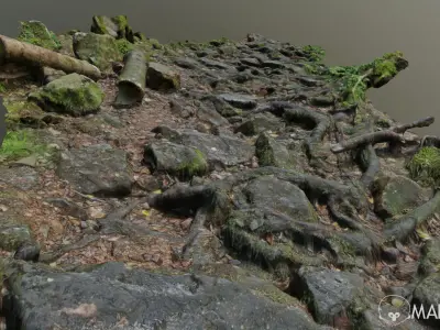 Ground stones C 3D model