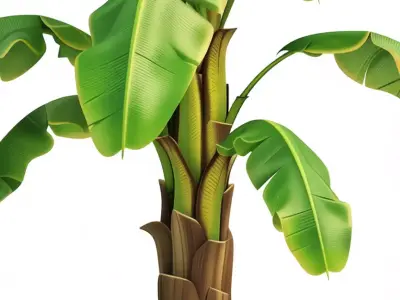 Banana Tree 3D Realistic Tropical Plant Lush Green Leaves Low-poly 3D model