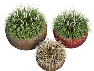 Aladin three potted grasses 3D model