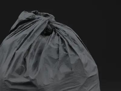 Plastic Garbage Bag 3D model