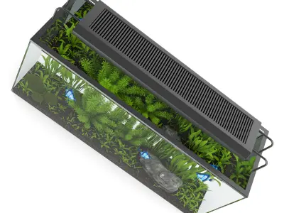 Rectangular Aquarium with Light 3D model
