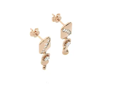 Light wt Women Diamond Earrings  3D print model