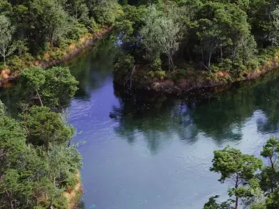 The Pine Environment  Low-poly 3D model