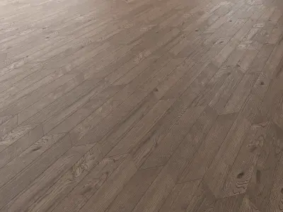 Parquet Oak Missisippi Wild Wood set 6 3D model