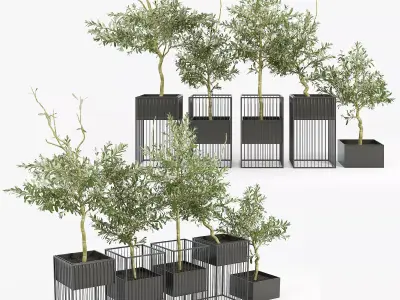 Kehlani Plant Stand Olea 3D model