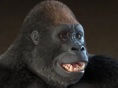  Rigged Gorilla 