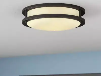 Mona Light Simple Circle Flush Mount - 2 Colour 3D model