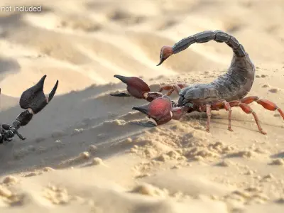  Realistic Scorpion Strikes Animated Rigged 