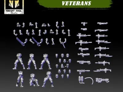 Vanquishers Veterans 3D print model