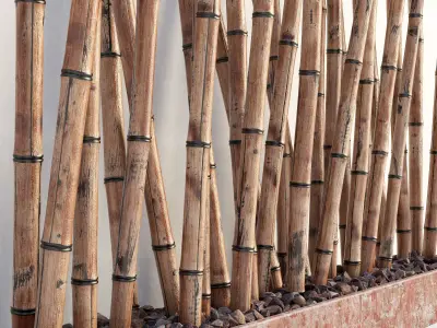 Bamboo decor fundament random 3D model