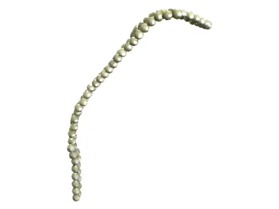 Twisted Long Bids Necklace Low-poly 3D model