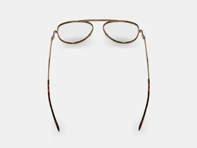 Belmar Eyeglasses in Polished Gold 3D model