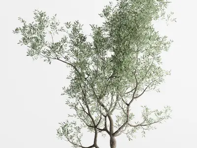 Urban Environment Urban Furniture Green Benches  3D model