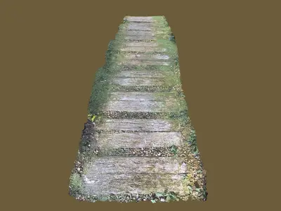 Walkway with moss Low-poly 3D model