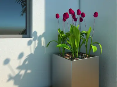 Villa modern house with swimming pool 3D model