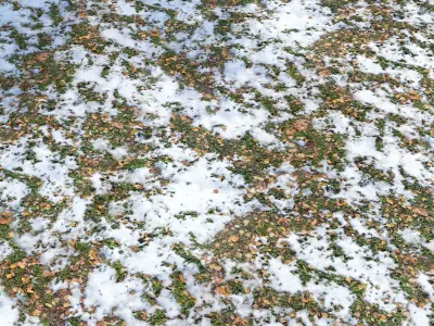 Autumn soil covered in snow 3D model