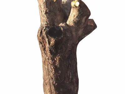 trunk 102 3D model
