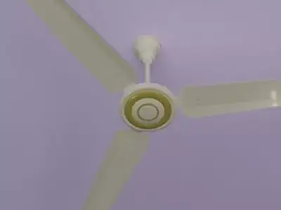 White Ceiling Fan 3D model