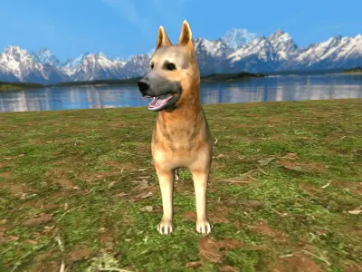 German Shepherd Dog  Animated Rigged 3d model 3D model
