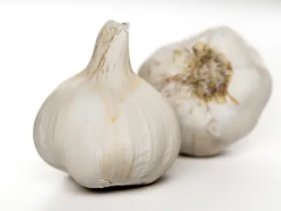 Garlic Bulb - 3D Scan Low-poly 3D model