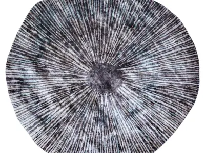 Sea Blue Caliedo Rug Low-poly 3D model