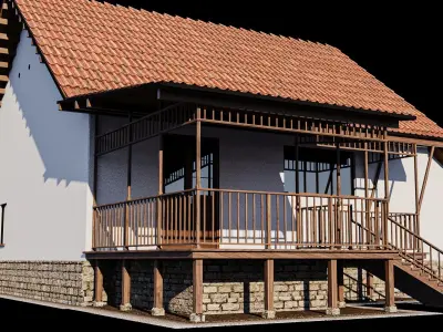 Village House 3D model