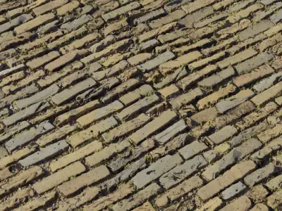 Muddy Brick Pavers With Moss PBR Texture  Texture