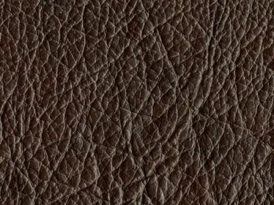 Viceroy Watch Free 3D model