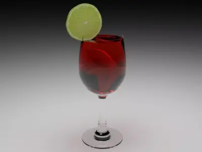 Sangria Wine 3D model