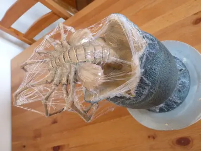 The Facehugger egg 3D print model
