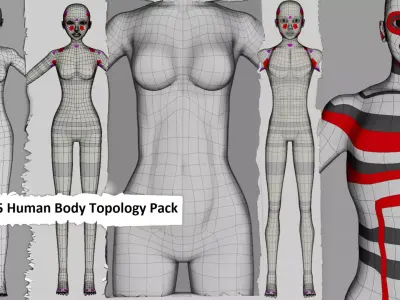 5x Human Body Topology Pack Low-poly 3D model
